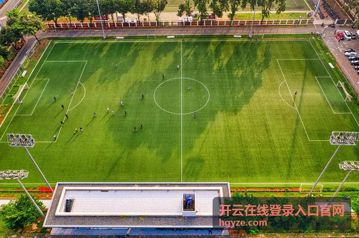 开云在线登录入口官网 使用说明与流程整理